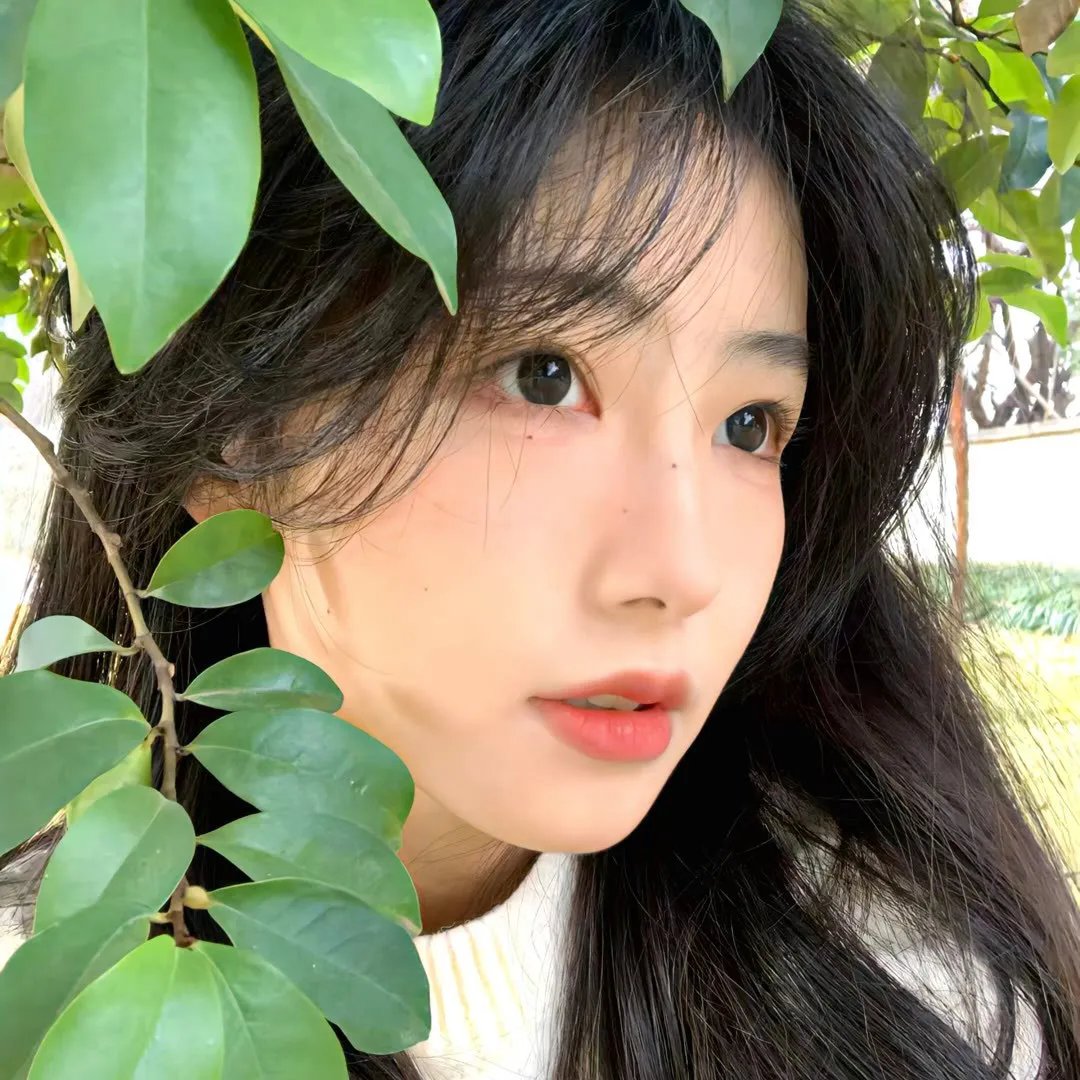我女若兰